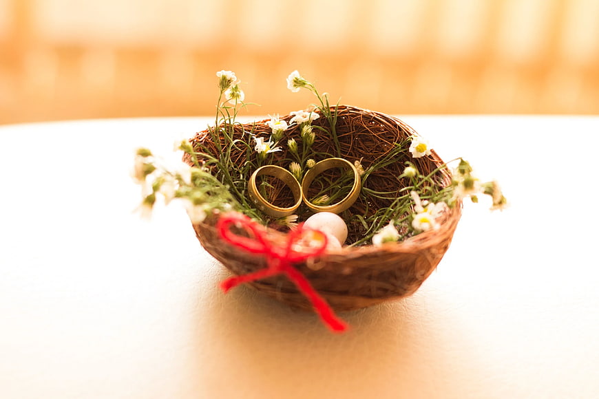 Gold Wedding Rings in Nest with Flowers and Egg