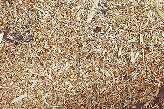 Top View of Wood Shavings and Sawdust Texture Background