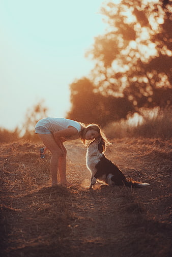 Woman Kissing Dog in Golden Hour Field