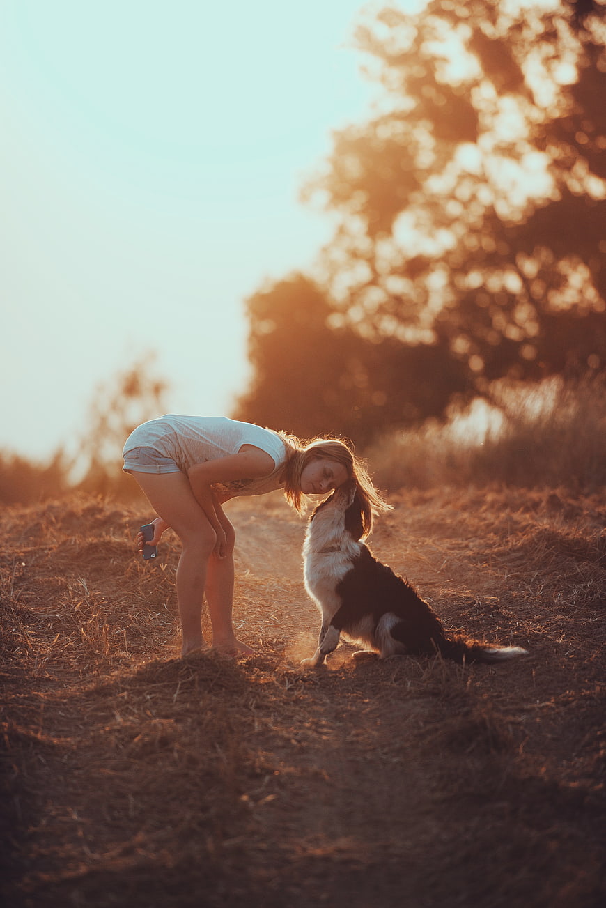 Woman Kissing Dog in Golden Hour Field