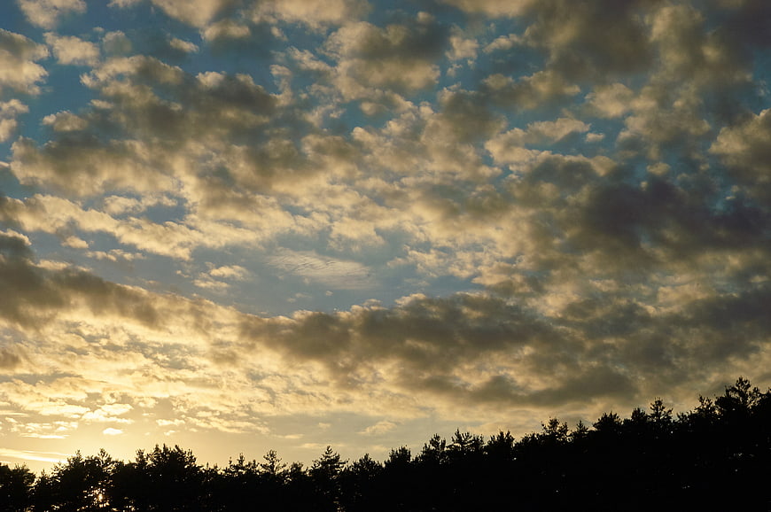 Dramatic sunset sky with golden clouds over dark tree silhouette