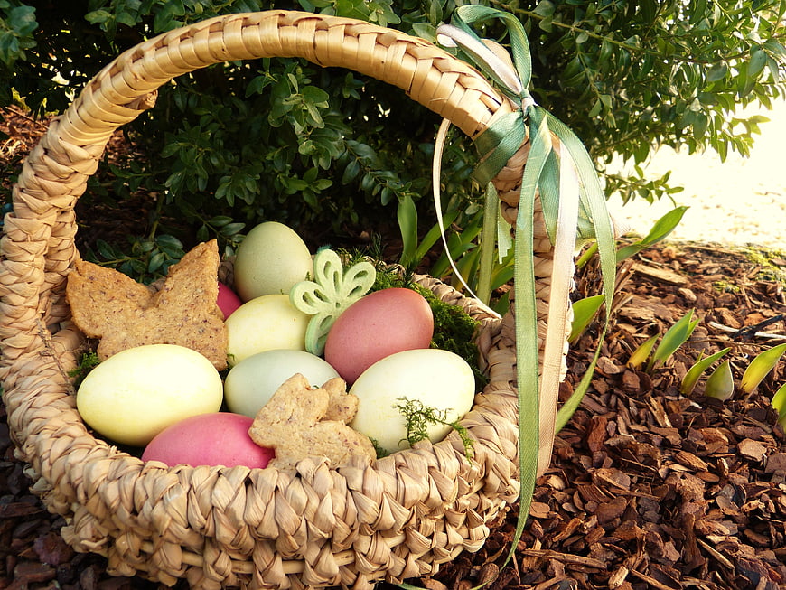 Woven Easter Basket With Pastel Eggs And Cookies In Garden