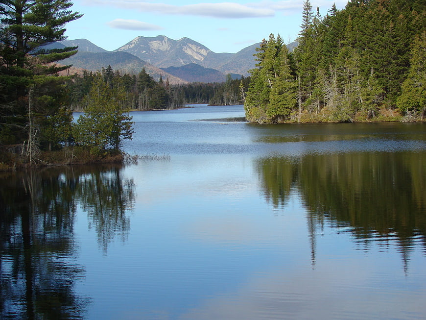 Serene Lake Reflection with Pine Forest and Distant Mountains
