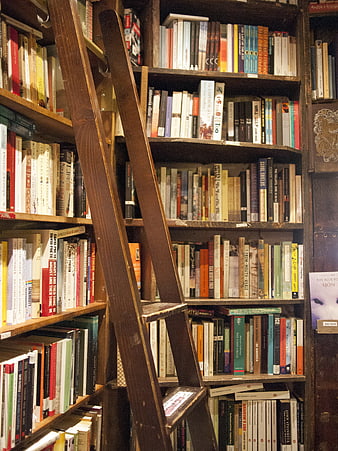 Vintage Wooden Ladder Leaning Against Full Bookshelves in Parisian Bookstore