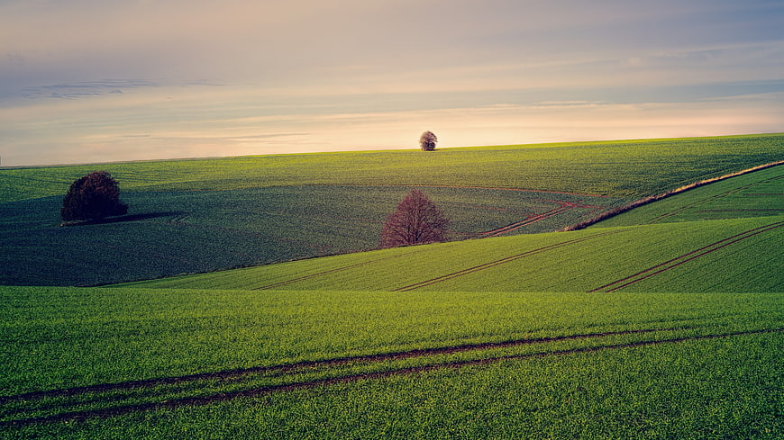 Rolling Green Hills Landscape With Isolated Trees And Soft Sky