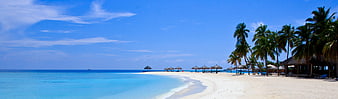 Panoramic tropical beach with palm trees and turquoise water