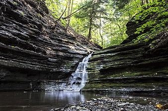Small waterfall cascading down layered rocks in a lush forest