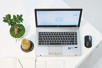 Top view of HP laptop workspace with coffee and plant