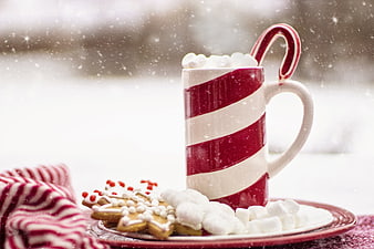 Festive Hot Cocoa with Cookies and Candy Cane in Snow