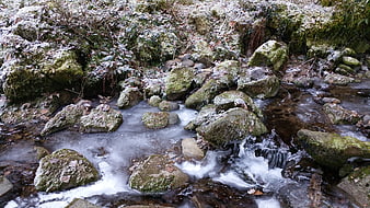 Frozen Stream with Mossy Rocks and Snow in Winter Forest
