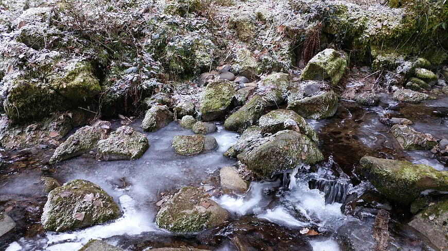 Frozen Stream with Mossy Rocks and Snow in Winter Forest