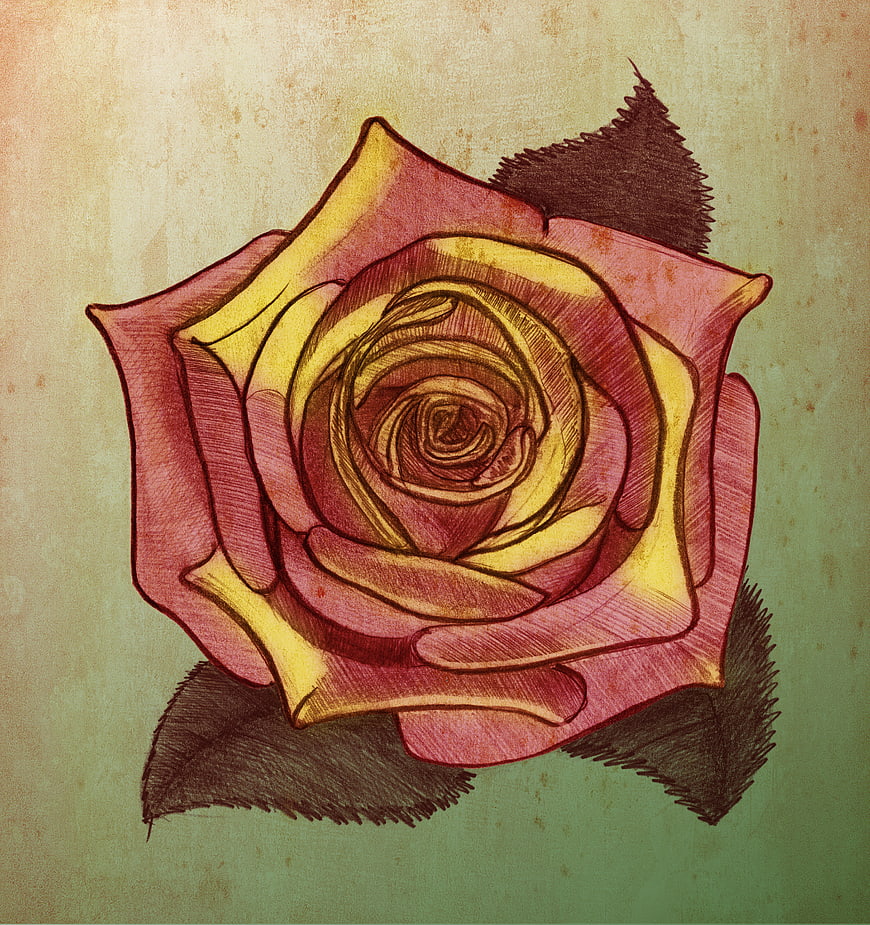 Vintage Rose Sketch on Textured Paper