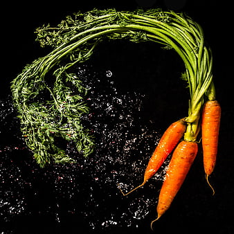 Fresh Carrots With Green Tops And Water Splashes On Black Background