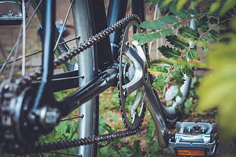 Close-up of bicycle chain and gears in nature