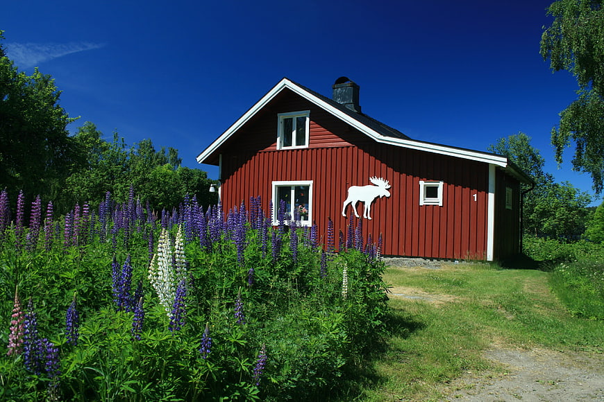 Red Swedish Cottage with Lupines and Moose Silhouette