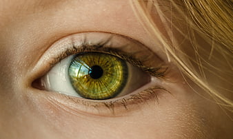 Extreme Close-Up of Green Eye with Detailed Iris Texture