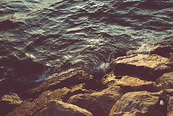 Dark ocean waves crashing on sunlit rocky coast