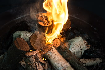 Close-up of burning birch logs in a fire pit