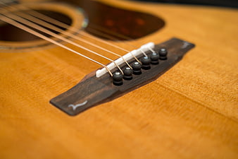 Close-up of acoustic guitar bridge and strings