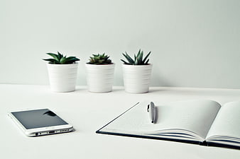 Minimalist white desk with smartphone, notebook, and succulents