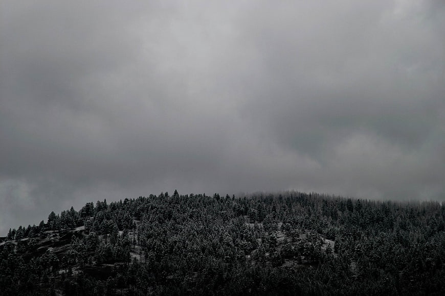 Moody Black and White Forest Landscape Under Stormy Sky