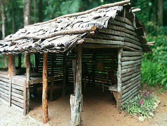 Rustic wooden hut with bark roof in forest