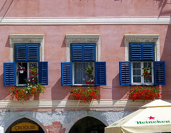 Pink building facade with blue shutters and red flowers