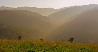 Misty mountain landscape with sun rays and green meadow