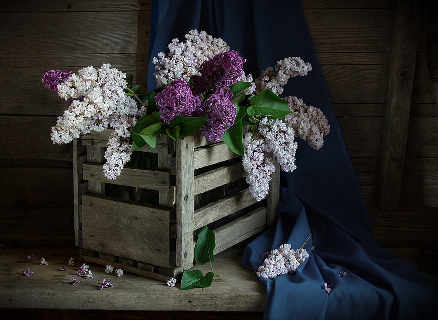 Rustic wooden crate with purple and white lilac flowers