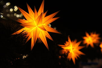 Glowing Orange Paper Star Christmas Decoration On Pine Branch