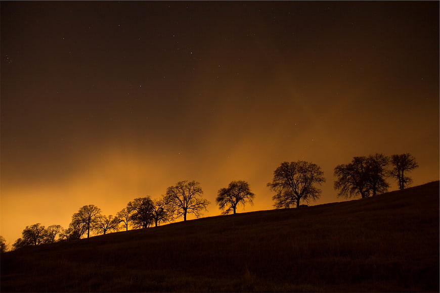 Silhouetted Trees on Hill Against Orange Night Sky