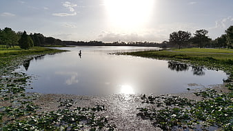 Serene Lake Landscape with Lush Greenery and Sunlight Reflection