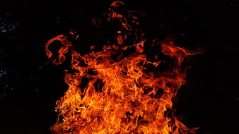 Intense Orange Flames Burning Against Black Background