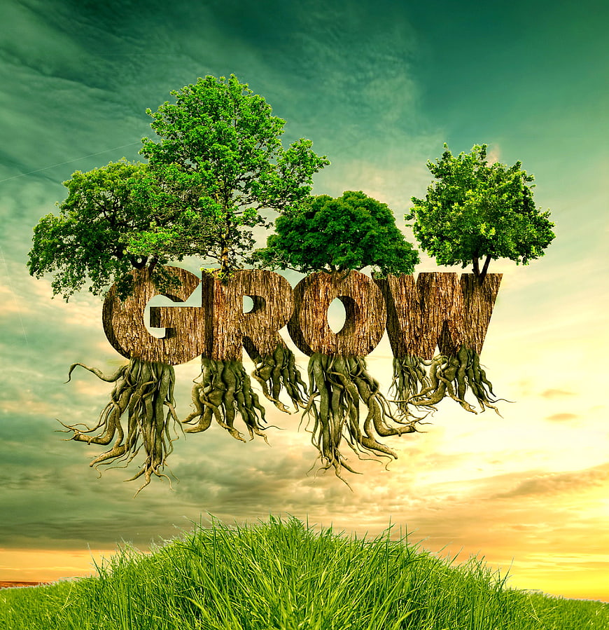 Conceptual 3D word GROW made of tree trunks, roots, and green foliage