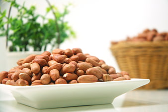 Peanuts in White Bowl with Green Plant Background