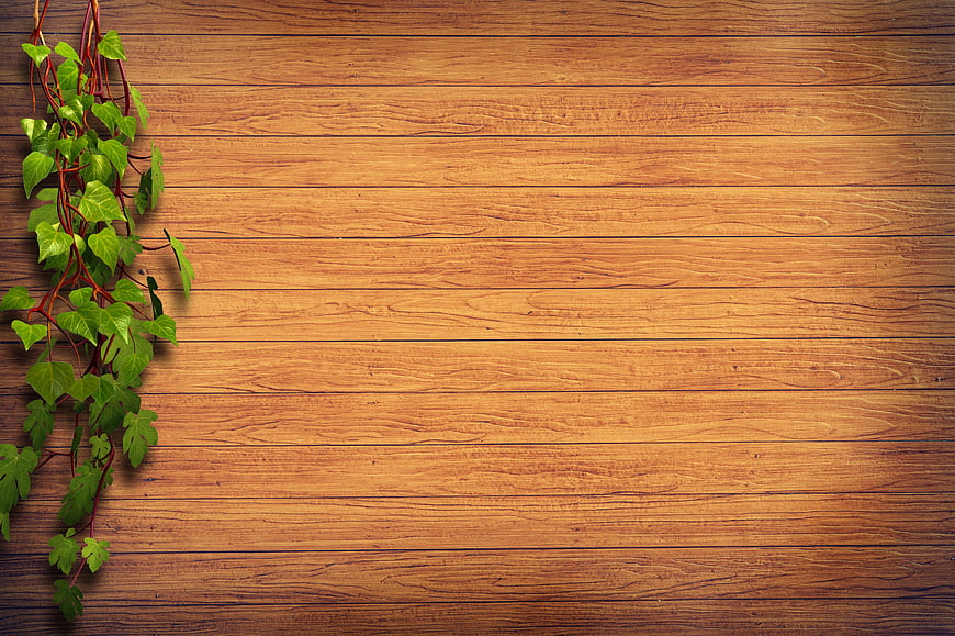 Green Ivy Leaves on Wooden Plank Background
