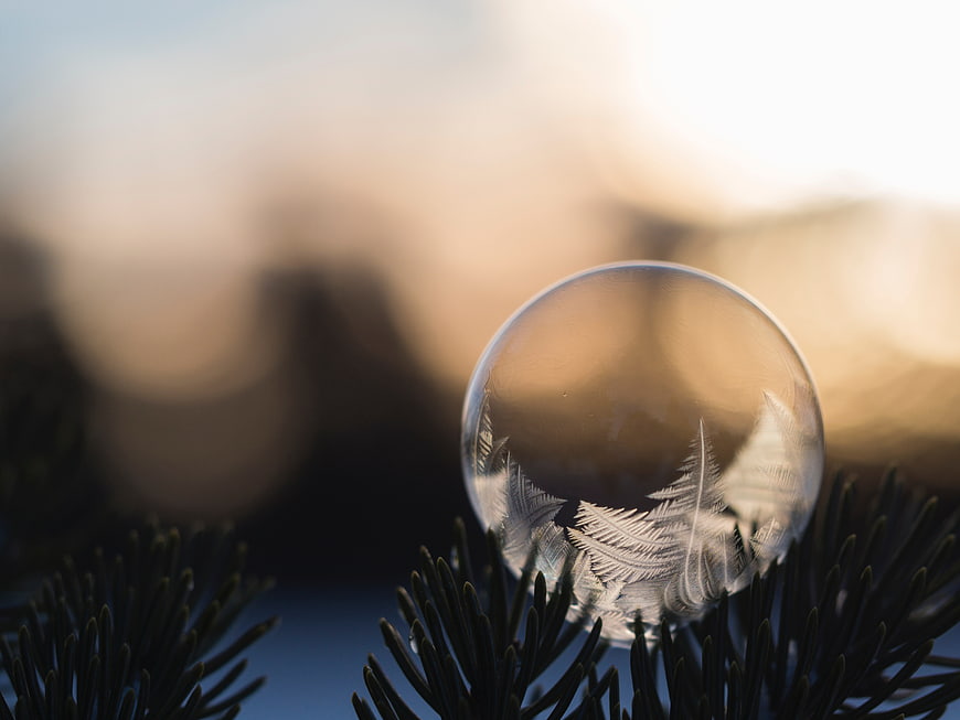 Frozen Bubble with Ice Crystals on Pine Branch
