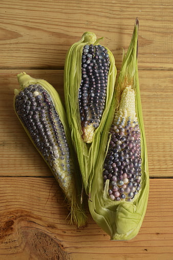 Blue and Purple Corn Ears on Wooden Background