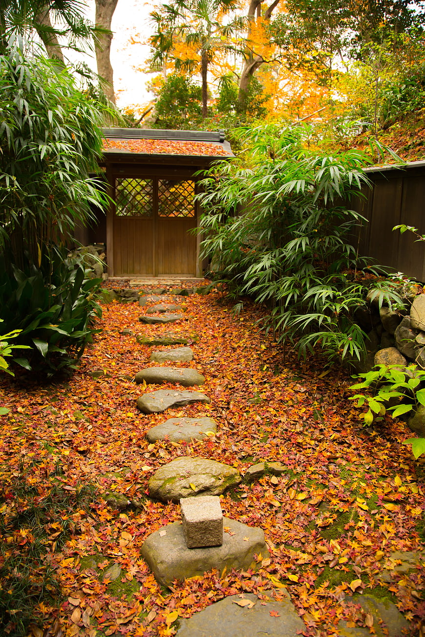Japanese Garden Path with Autumn Leaves and Bamboo