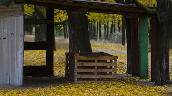 Wooden crates under rustic shelter in autumn forest