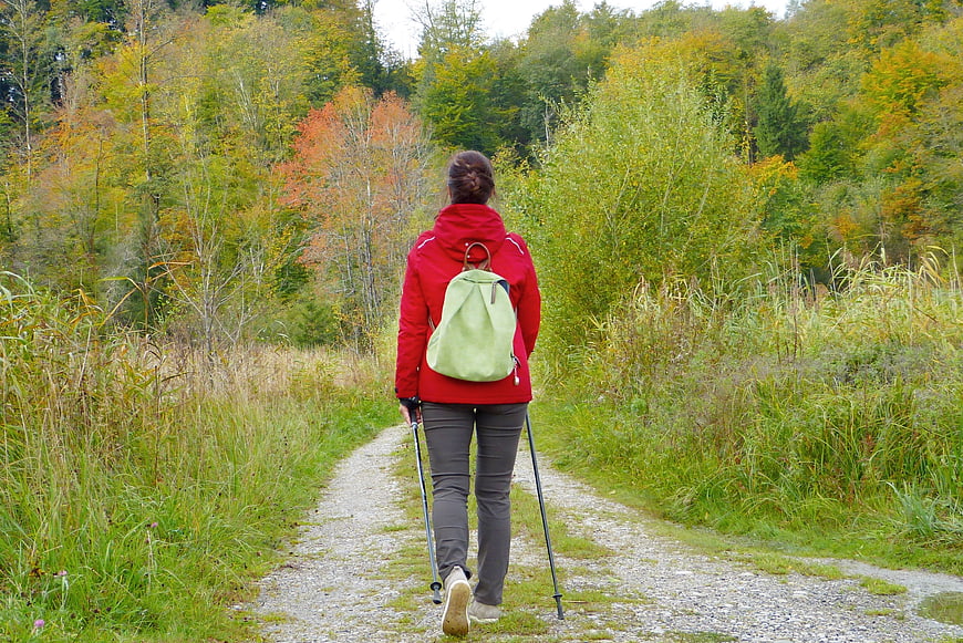 Woman Hiking on Forest Trail in Autumn