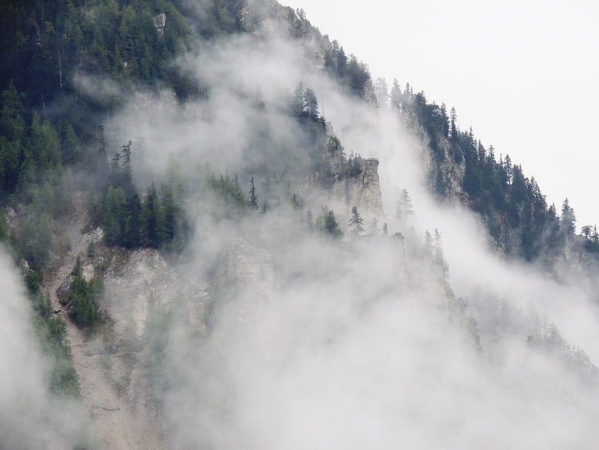 Misty Mountain Slope with Pine Trees and Fog