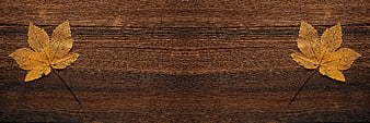 Two yellow maple leaves on dark wood background with copyspace