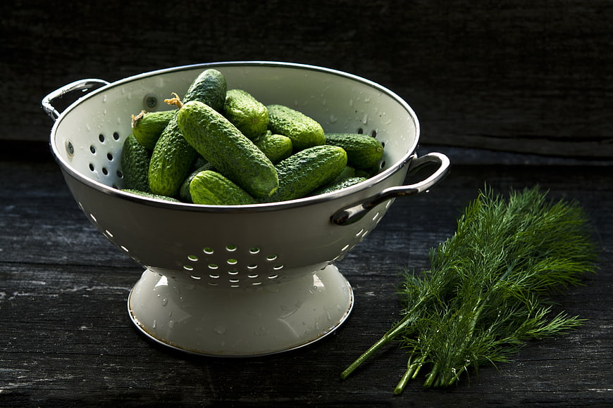Fresh cucumbers in white colander with dill on dark rustic wooden table