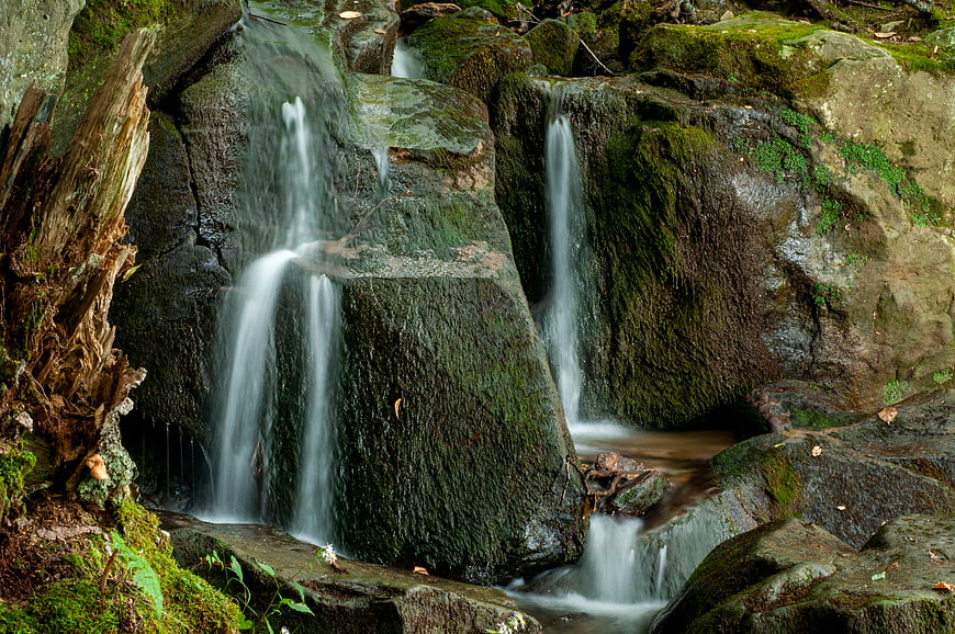 Serene Forest Waterfall Cascading Over Mossy Rocks
