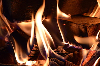 Close-up of burning firewood flames in a fireplace