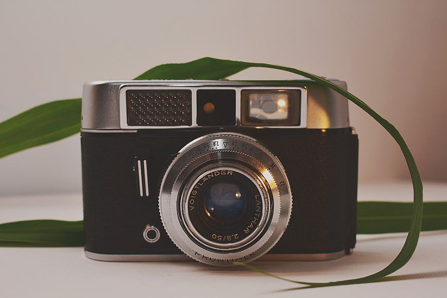 Vintage Voigtländer Camera with Green Leaf