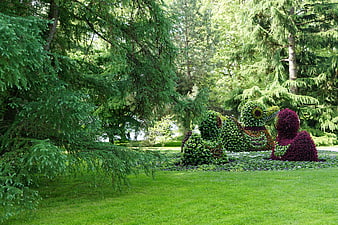 Topiary Duck Sculpture In Lush Green Garden Park