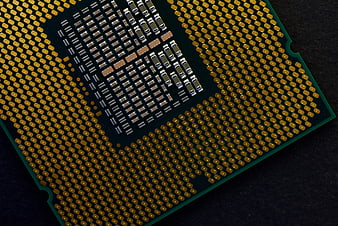 Close-up of CPU Processor Gold Pins and Contacts
