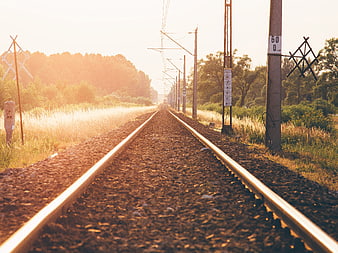 Sunlit Railway Tracks Stretching into the Distance